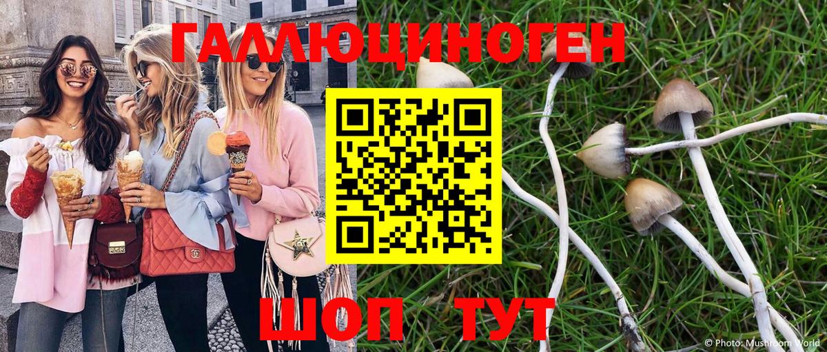 Галлюциногенные грибы GOLDEN TEACHER  Вход с VPN  Клинцы 